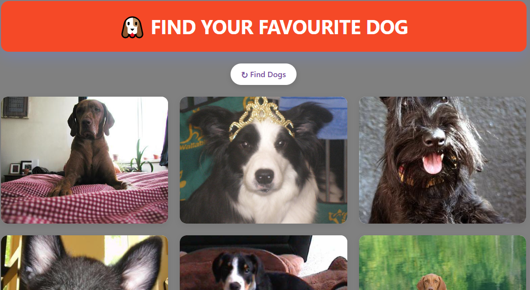 dog-app